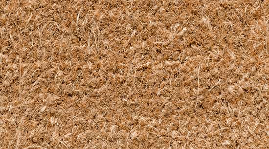 What is Coir?